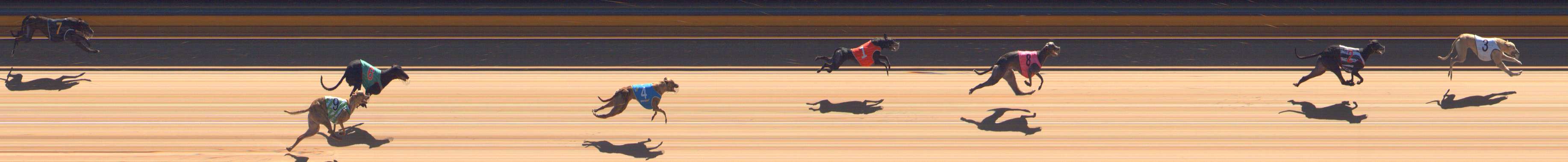 Photo finish for Bendigo Race 4
