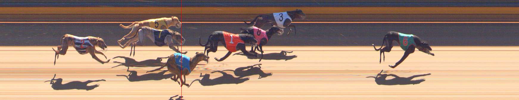 Photo finish for Bendigo Race 5