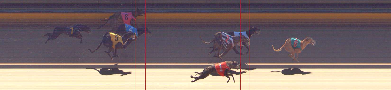 Photo finish for Bendigo Race 6