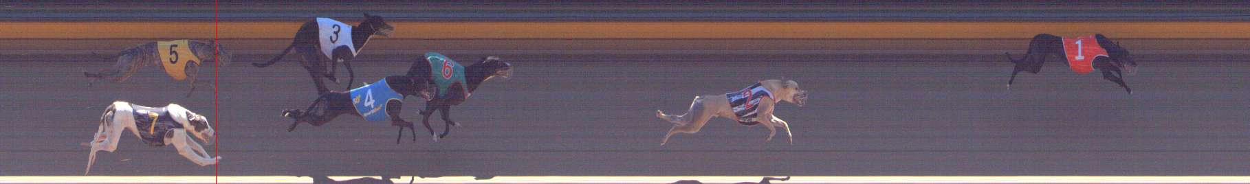 Photo finish for Bendigo Race 8