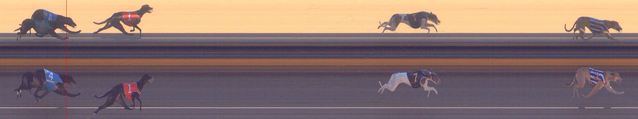 Photo finish for Bendigo Race 9