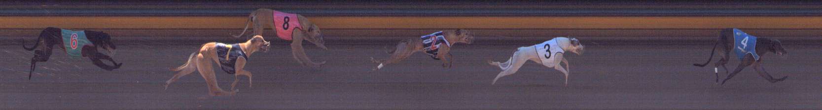 Photo finish for Bendigo Race 10