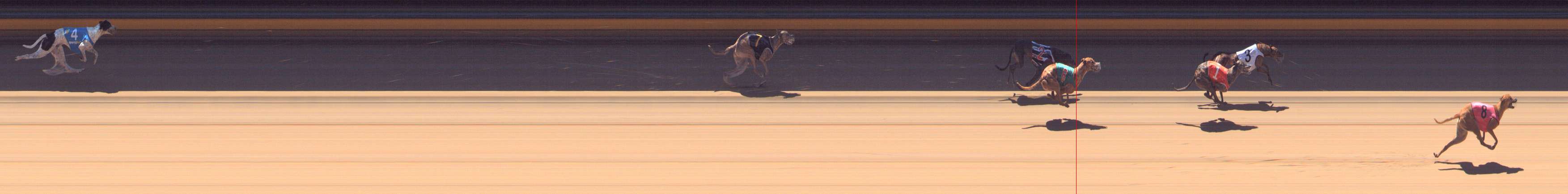 Photo finish for Bendigo Race 12