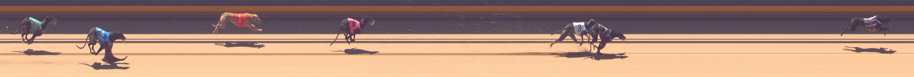 Photo finish for Bendigo Race 13