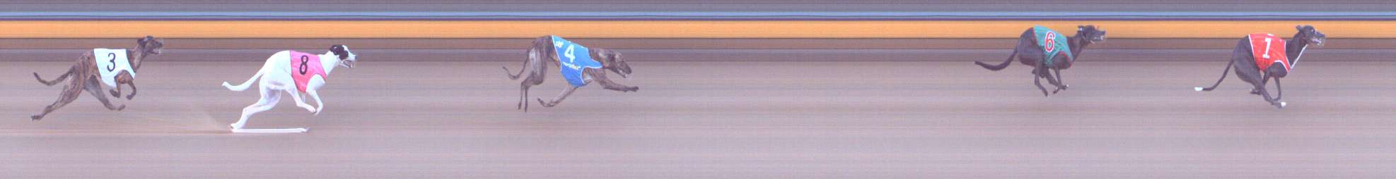 Photo finish for Bendigo Race 2
