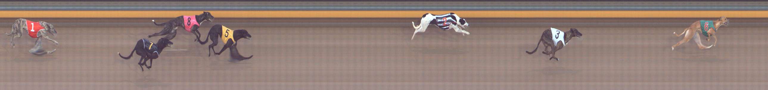 Photo finish for Bendigo Race 3