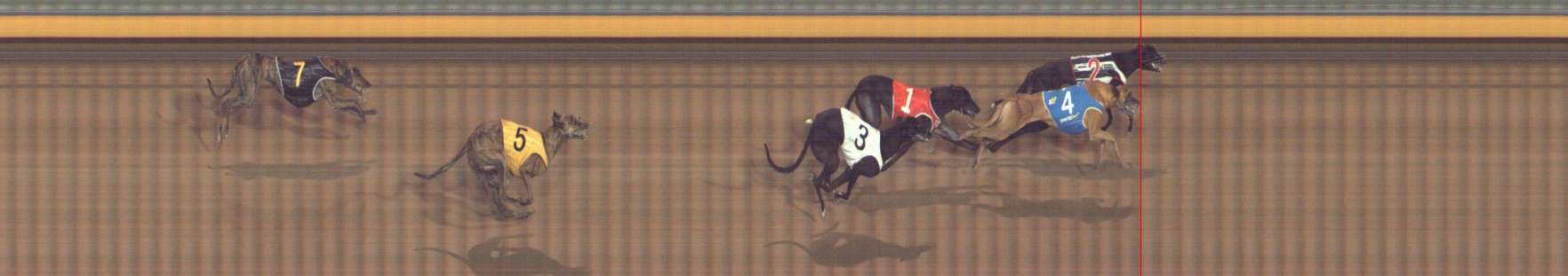 Photo finish for Bendigo Race 5