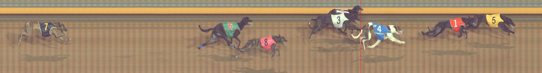 Photo finish for Bendigo Race 8