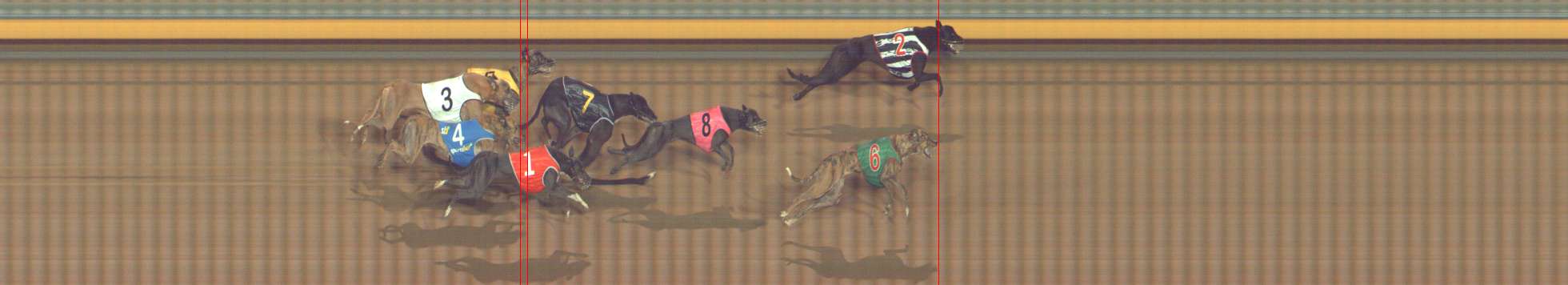 Photo finish for Bendigo Race 9