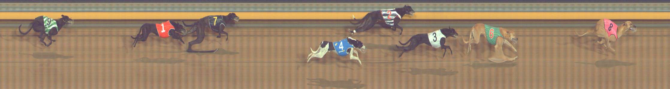 Photo finish for Bendigo Race 10