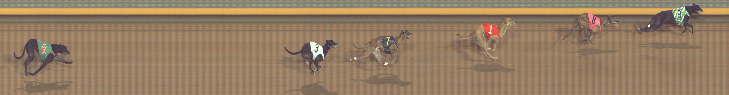 Photo finish for Bendigo Race 11