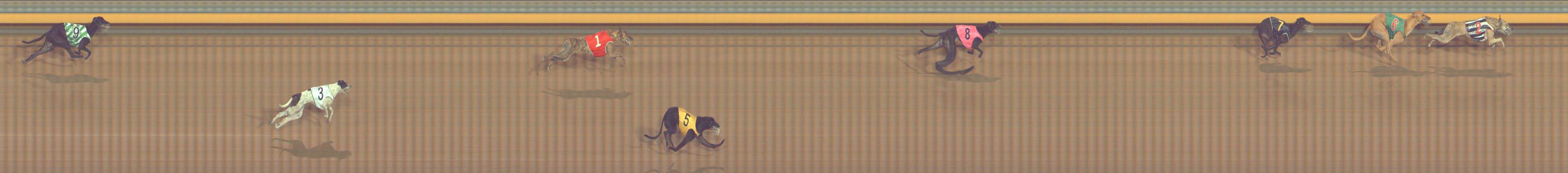 Photo finish for Bendigo Race 12