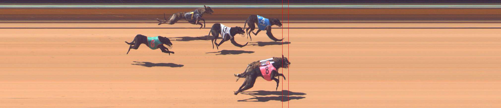 Photo finish for Bendigo Race 1