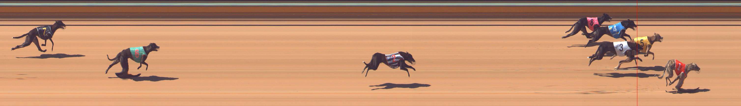 Photo finish for Bendigo Race 2