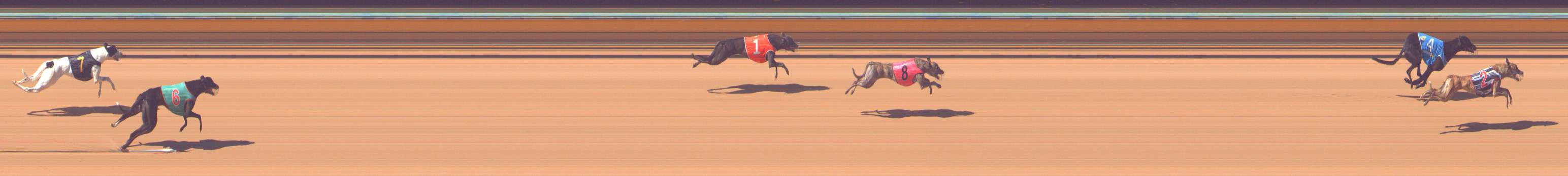 Photo finish for Bendigo Race 3