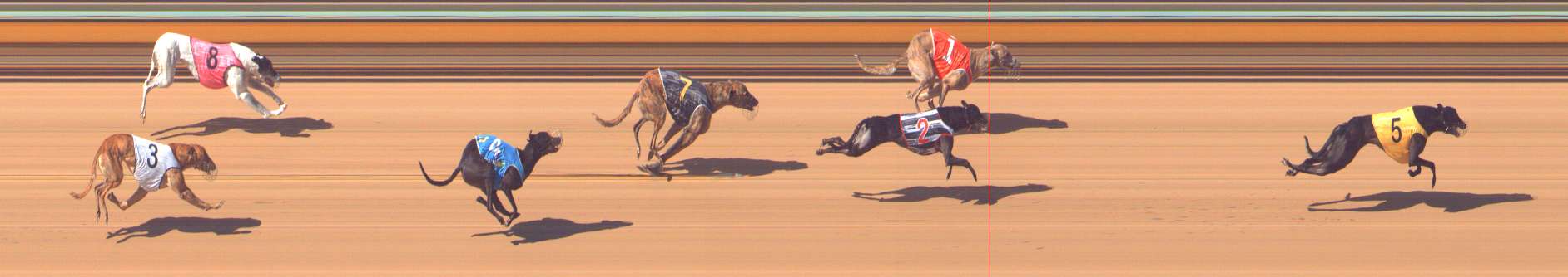 Photo finish for Bendigo Race 5