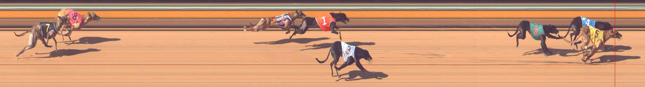 Photo finish for Bendigo Race 6