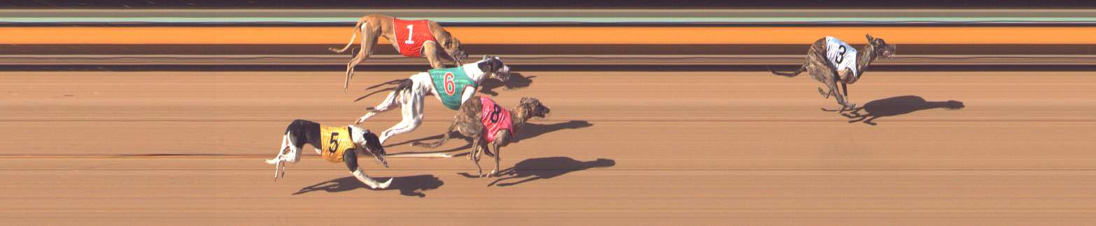 Photo finish for Bendigo Race 8