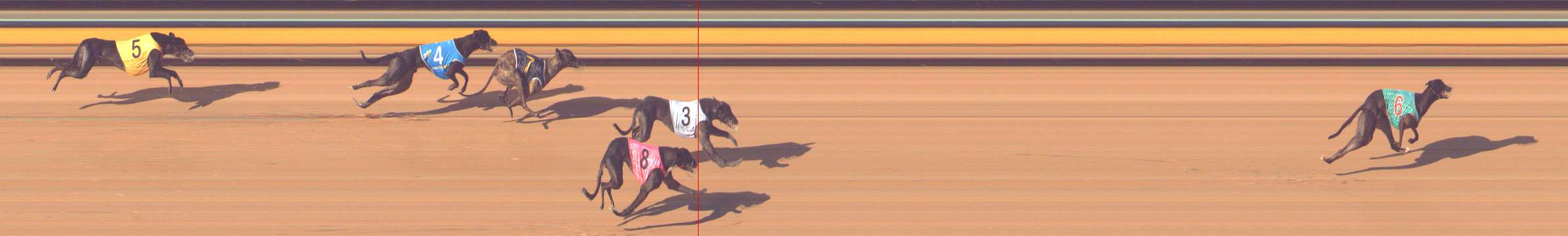 Photo finish for Bendigo Race 9