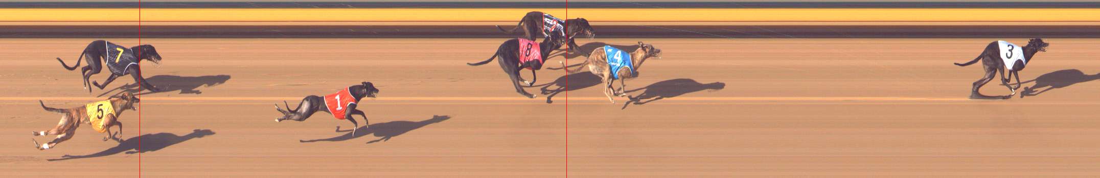 Photo finish for Bendigo Race 10