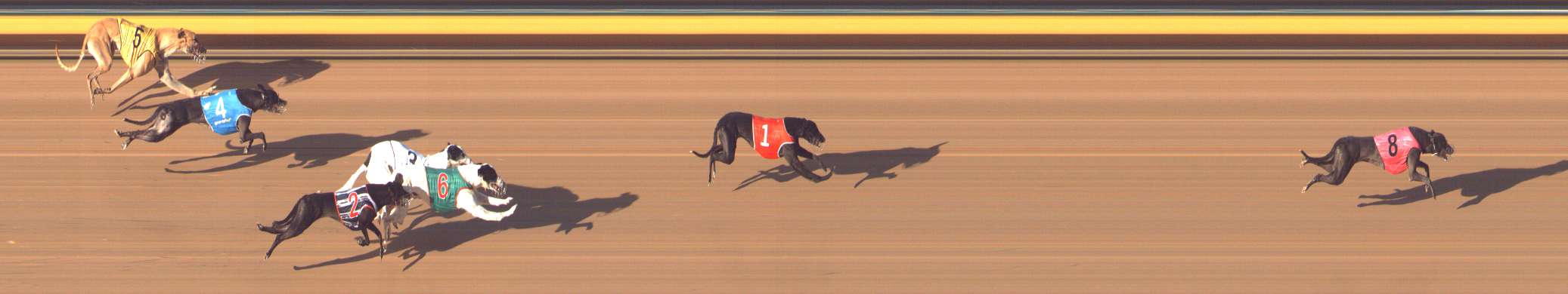 Photo finish for Bendigo Race 11