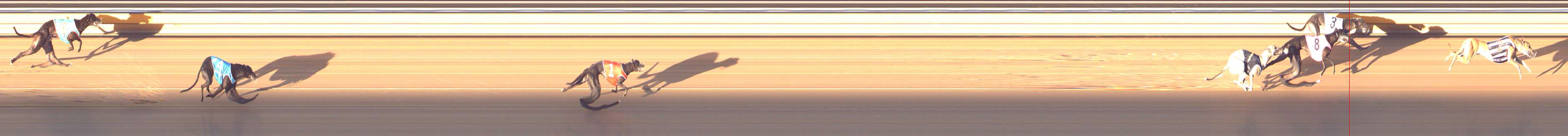 Photo finish for Bendigo Race 13