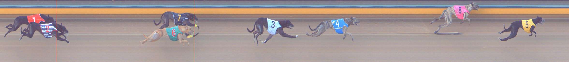 Photo finish for Bendigo Race 1