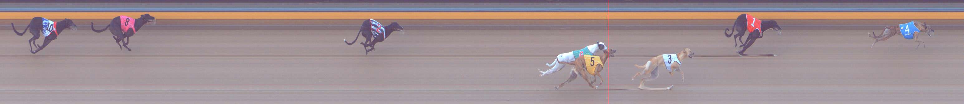 Photo finish for Bendigo Race 2