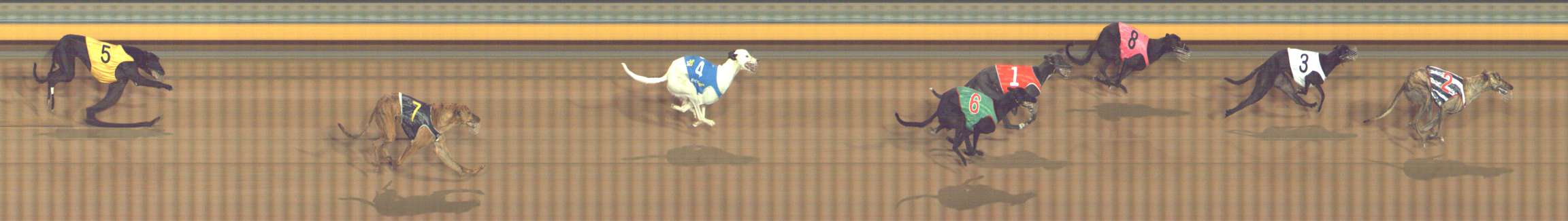 Photo finish for Bendigo Race 5