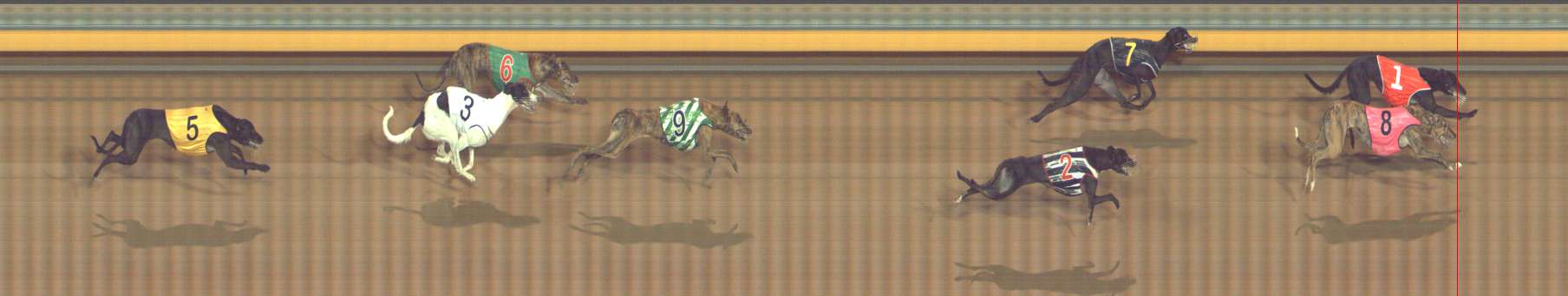 Photo finish for Bendigo Race 7