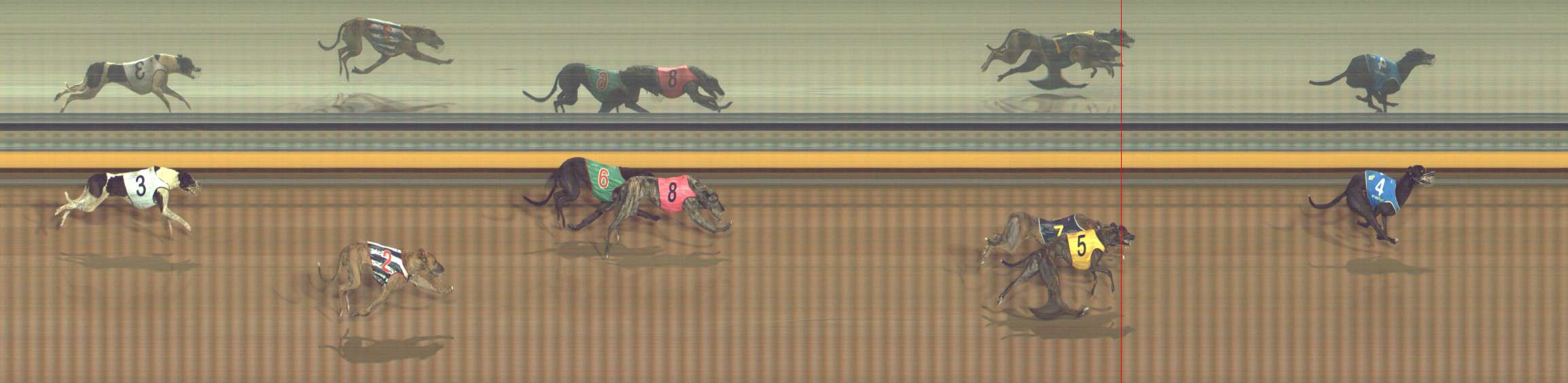 Photo finish for Bendigo Race 8