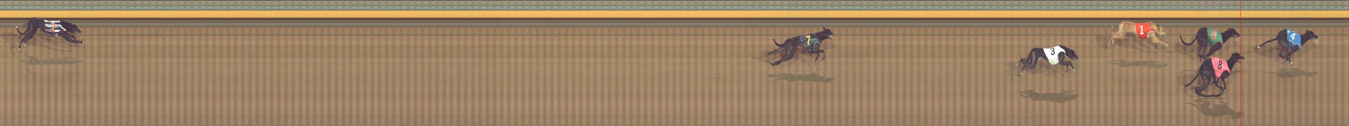 Photo finish for Bendigo Race 10