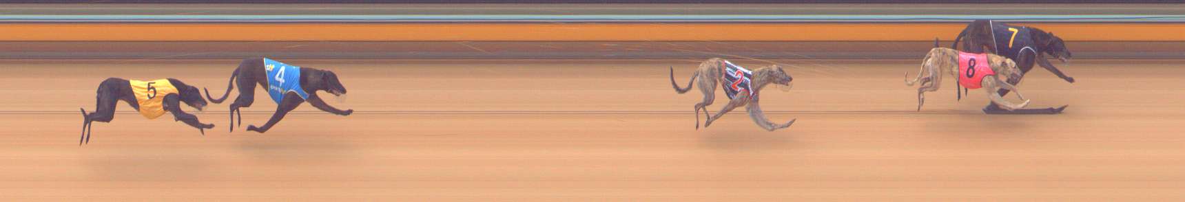 Photo finish for Bendigo Race 1