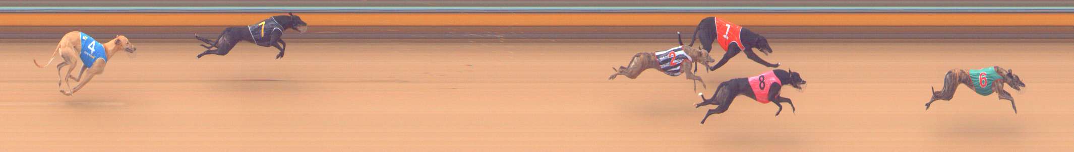 Photo finish for Bendigo Race 2