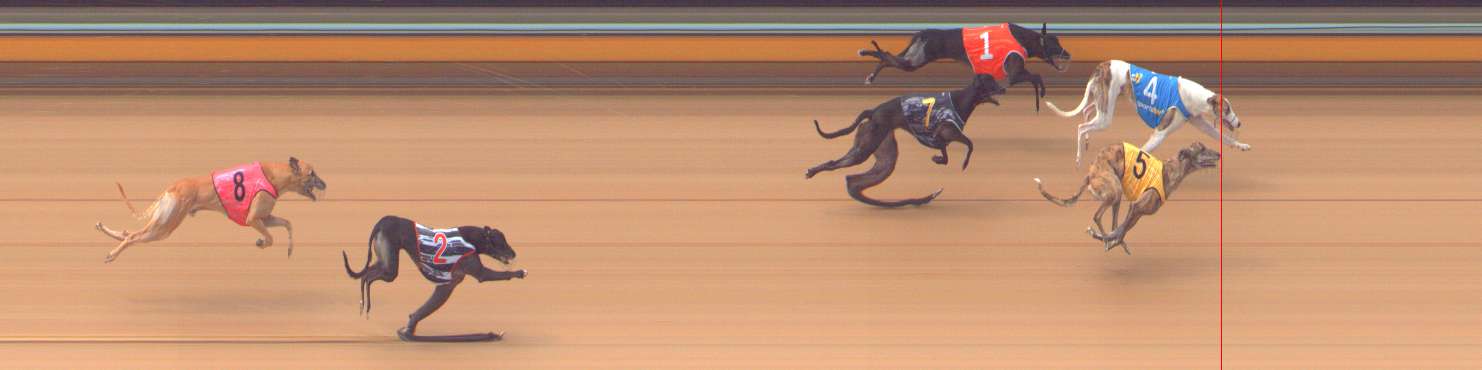 Photo finish for Bendigo Race 3