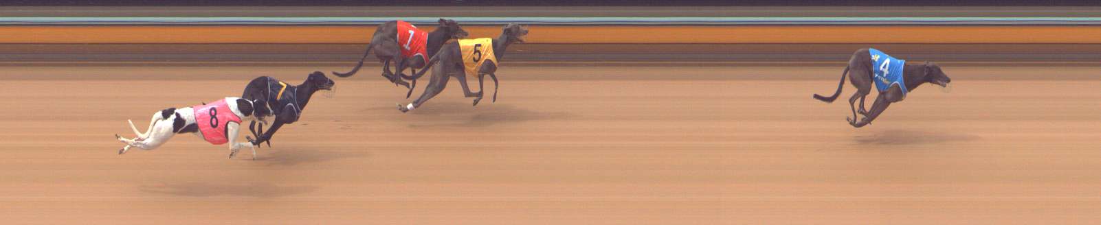 Photo finish for Bendigo Race 4