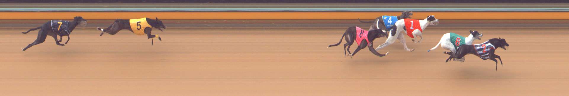 Photo finish for Bendigo Race 5