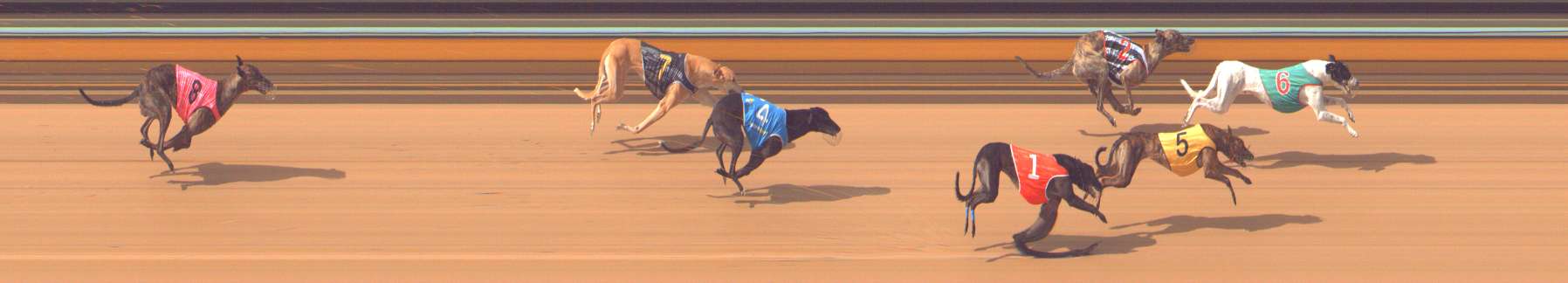 Photo finish for Bendigo Race 6