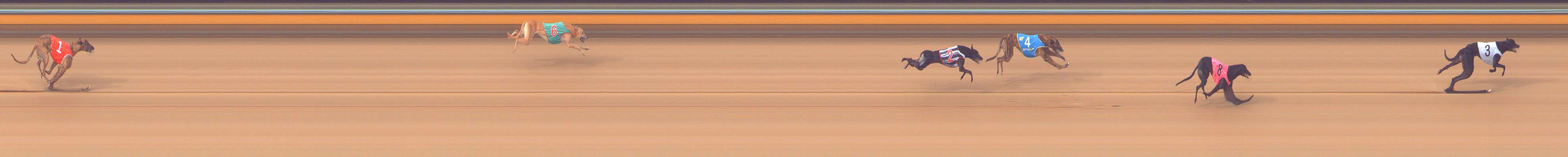 Photo finish for Bendigo Race 8