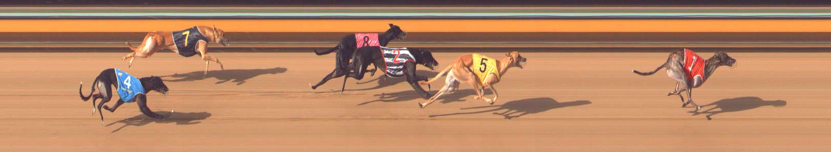 Photo finish for Bendigo Race 9