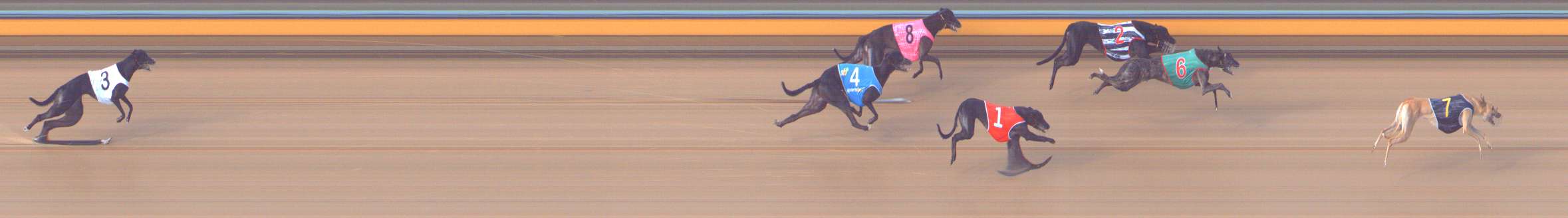Photo finish for Bendigo Race 10