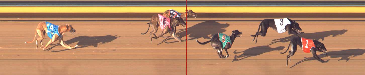 Photo finish for Bendigo Race 12