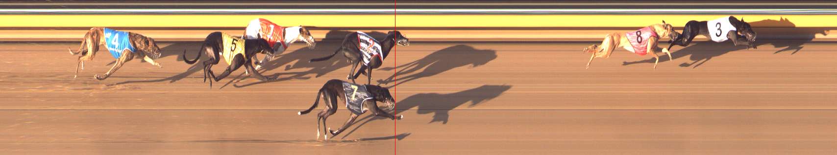 Photo finish for Bendigo Race 13