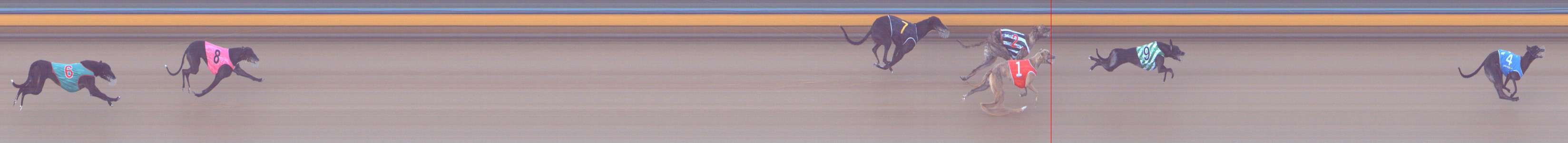 Photo finish for Bendigo Race 1