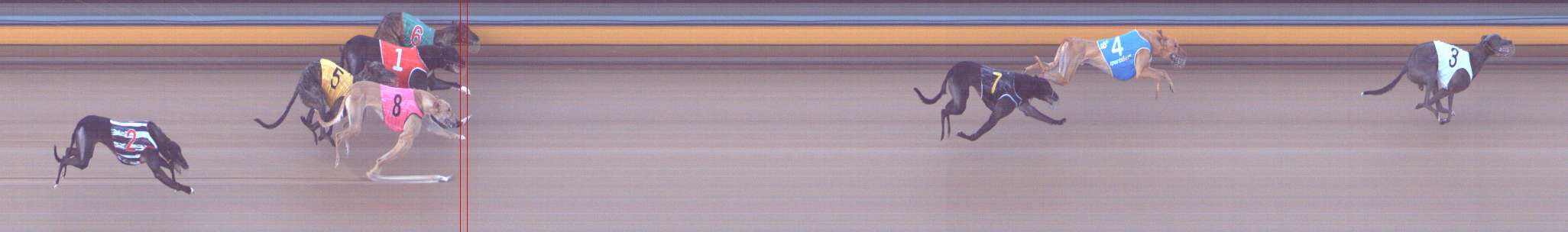 Photo finish for Bendigo Race 2