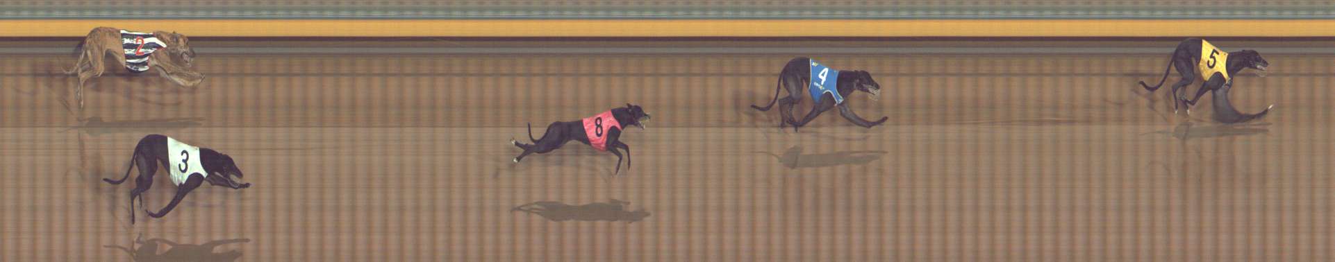 Photo finish for Bendigo Race 5