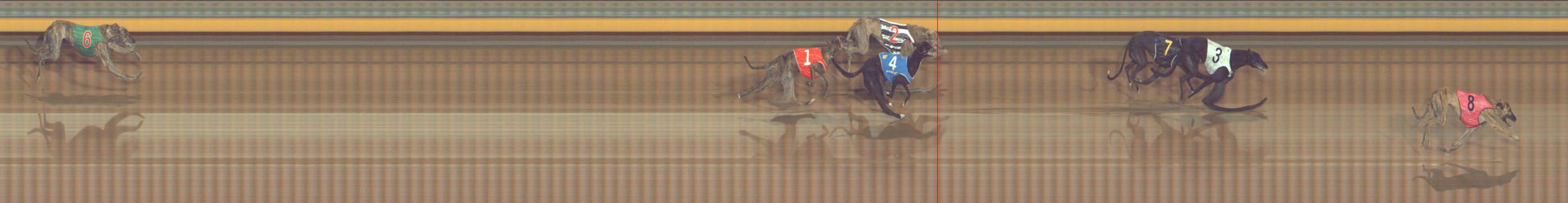 Photo finish for Bendigo Race 6