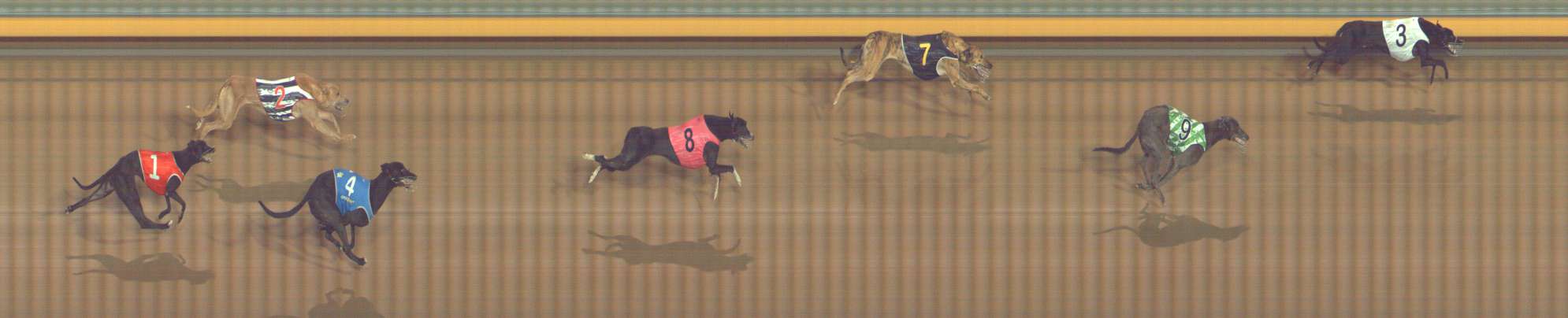 Photo finish for Bendigo Race 9
