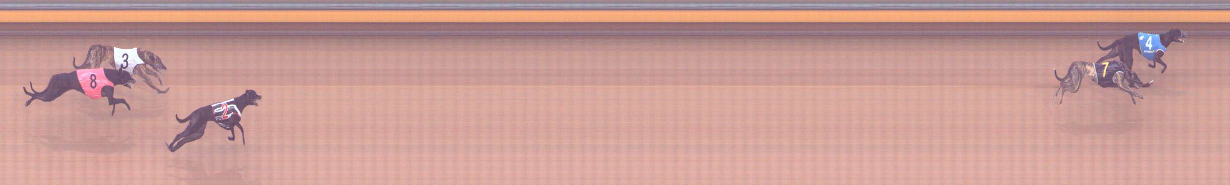 Photo finish for Bendigo Race 1