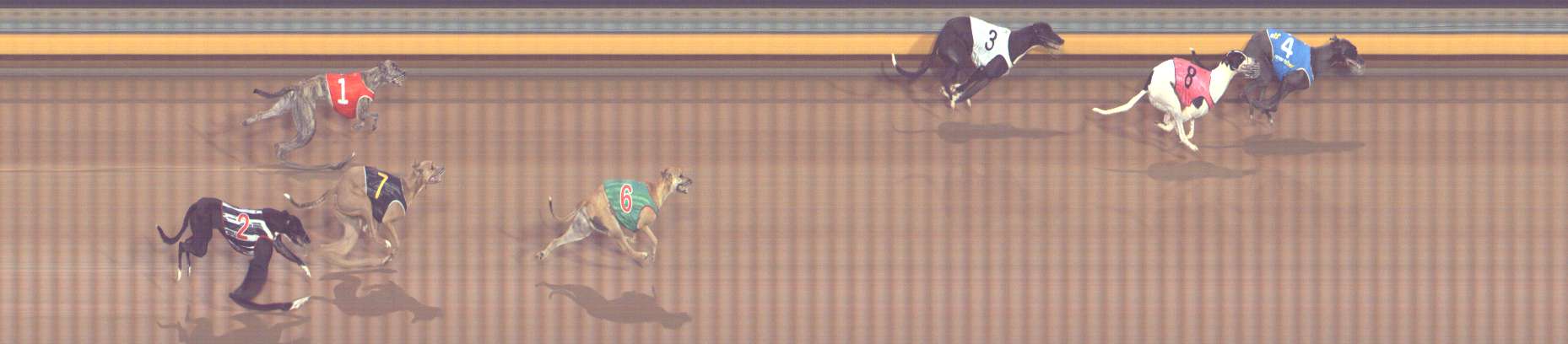 Photo finish for Bendigo Race 2